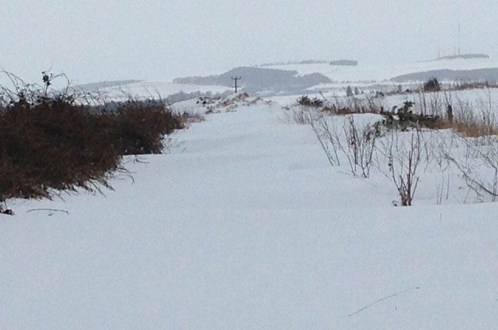 snow at barra bronzes