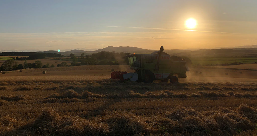 The 'Ultimate' Barra Bronze Burger Free Range Turkey Barra Bronzes