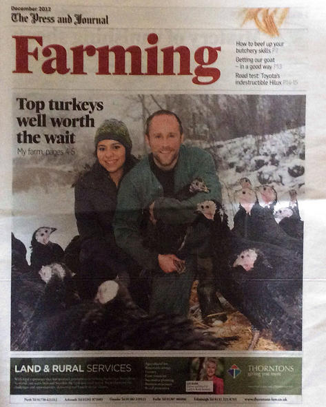 top turkeys article farming news