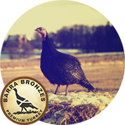 barra bronzes turkeys